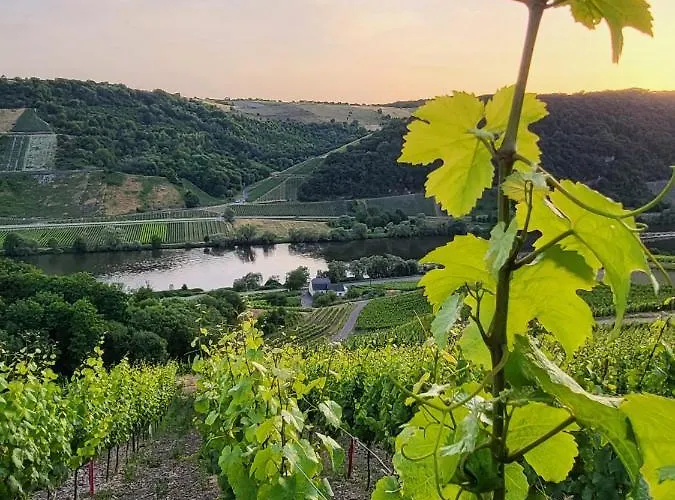 Villa Haus Zur Heugabel